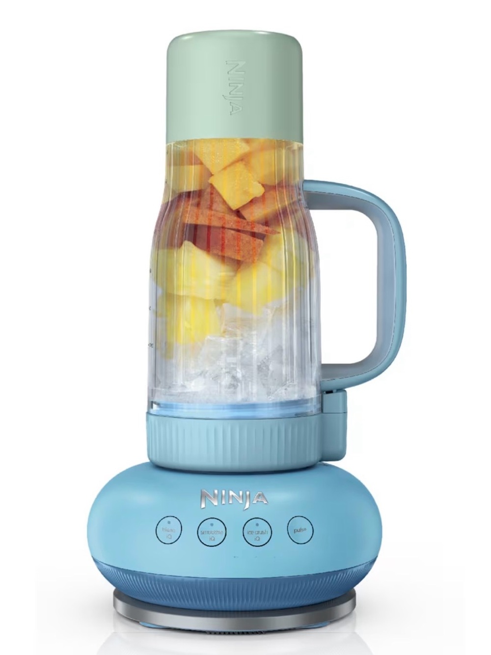 Ninja blendboss Smoothie Blender